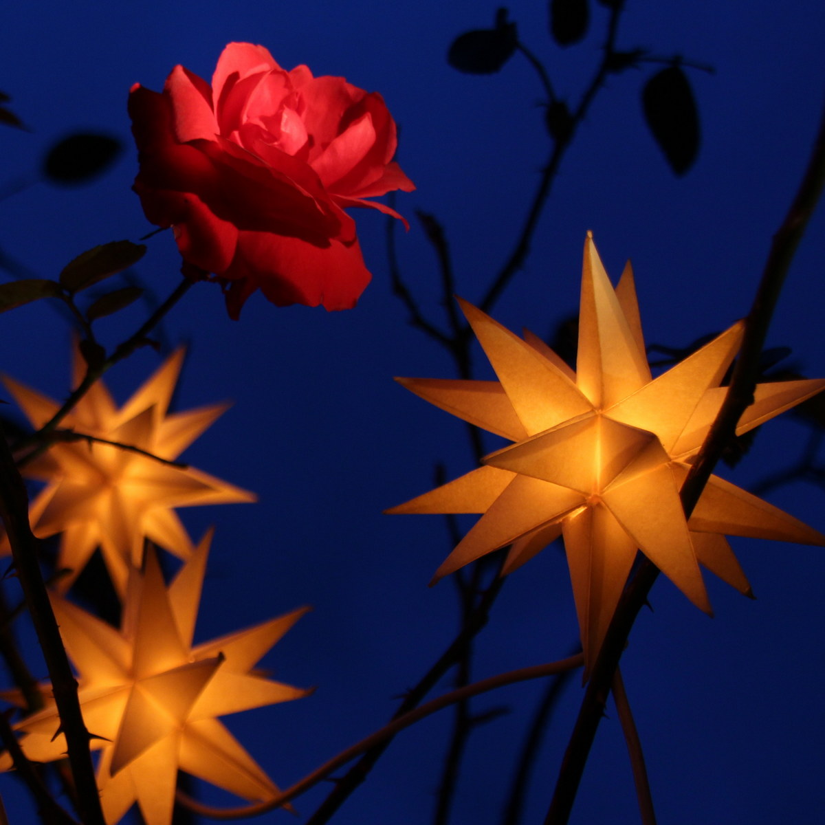 Weihnachten und Jahreswechsel